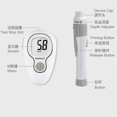 Home Use Or Travel Hot Sale Blood Sugar Test Glucose Meter With Strips Display